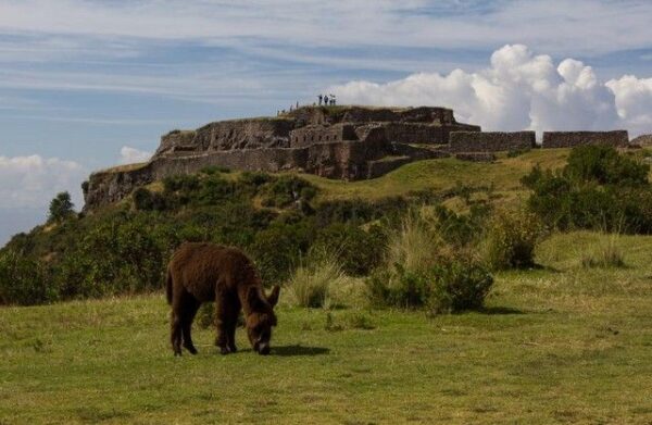 Cusco City Tour Mirabus - Image 5